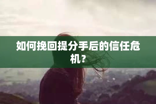 如何挽回提分手后的信任危机？