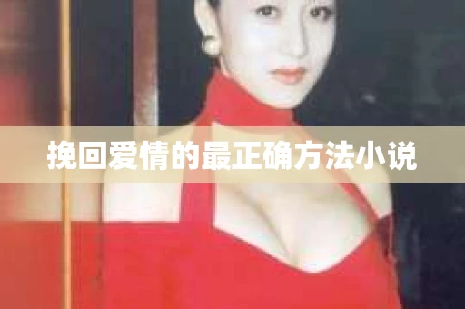 挽回爱情的最正确方法小说