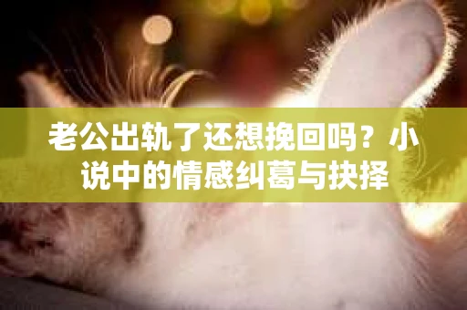 老公出轨了还想挽回吗？小说中的情感纠葛与抉择