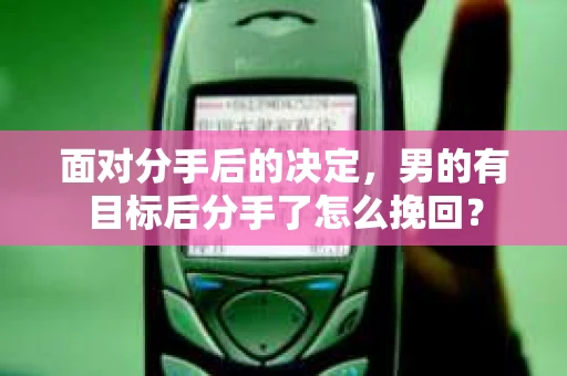 面对分手后的决定，男的有目标后分手了怎么挽回？