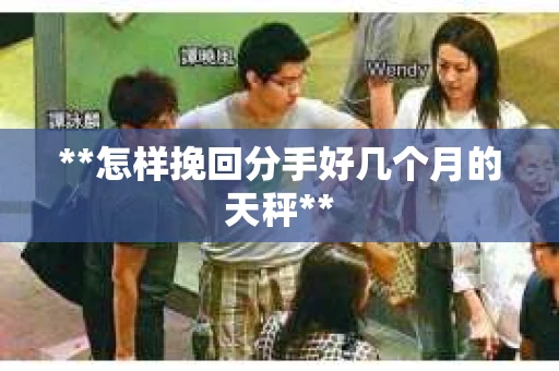 **怎样挽回分手好几个月的天秤**