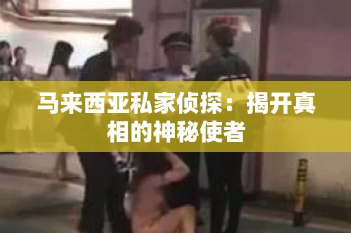 马来西亚私家侦探：揭开真相的神秘使者