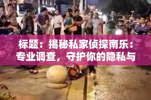 标题：揭秘私家侦探南乐：专业调查，守护你的隐私与权益