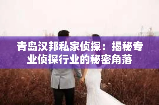 青岛汉邦私家侦探：揭秘专业侦探行业的秘密角落