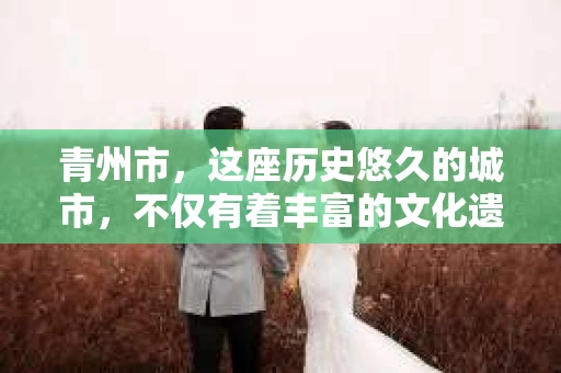 青州市，这座历史悠久的城市，不仅有着丰富的文化遗产，也有着现代生活的便捷。那么，问题来了——青州市有私家侦探公司吗？这个问题，对于需要侦探服务的人来说，无疑至关重要。接下来，我就来为大家揭开这个谜底。