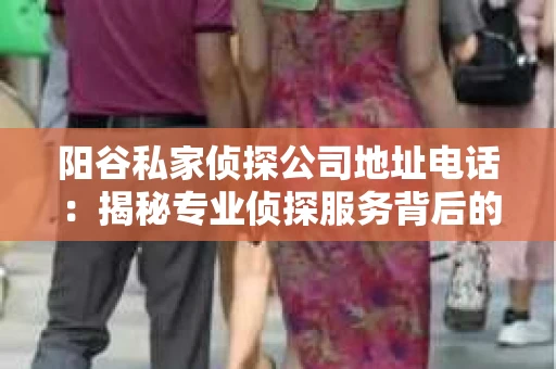 阳谷私家侦探公司地址电话：揭秘专业侦探服务背后的故事