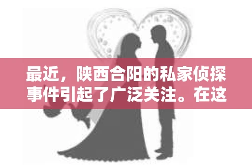 最近，陕西合阳的私家侦探事件引起了广泛关注。在这个信息爆炸的时代，隐私保护显得尤为重要。今天，我们就来聊聊这个事件，看看它背后的一些故事。