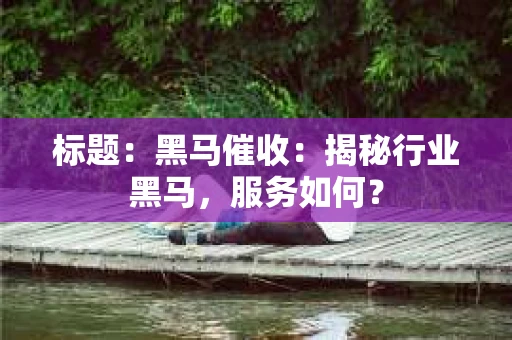标题：黑马催收：揭秘行业黑马，服务如何？