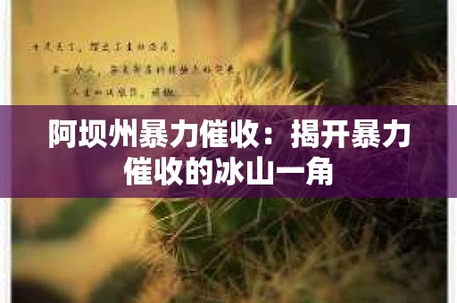 阿坝州暴力催收：揭开暴力催收的冰山一角