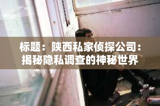 标题：陕西私家侦探公司：揭秘隐私调查的神秘世界