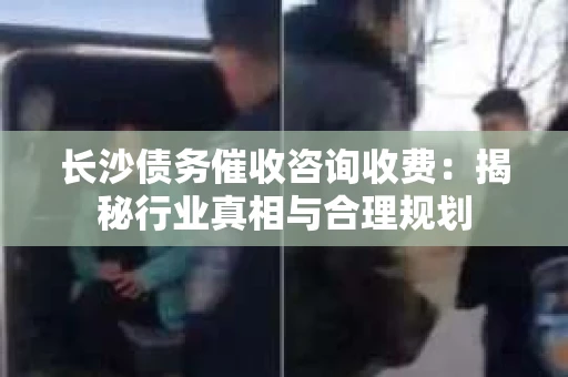 长沙债务催收咨询收费：揭秘行业真相与合理规划