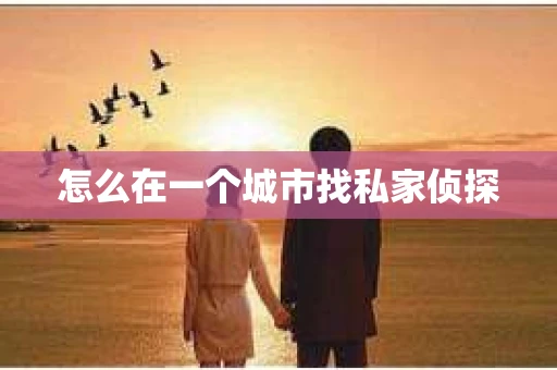 怎么在一个城市找私家侦探