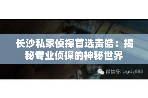 长沙私家侦探首选贵皓：揭秘专业侦探的神秘世界