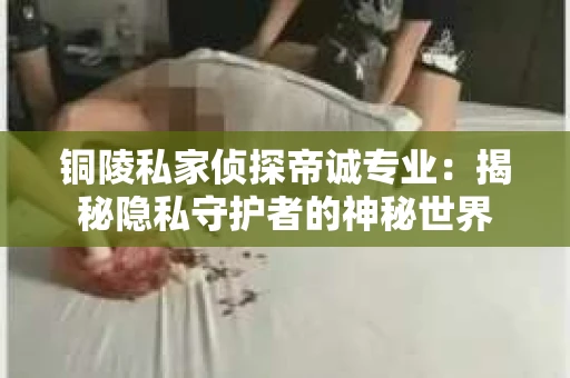 铜陵私家侦探帝诚专业：揭秘隐私守护者的神秘世界