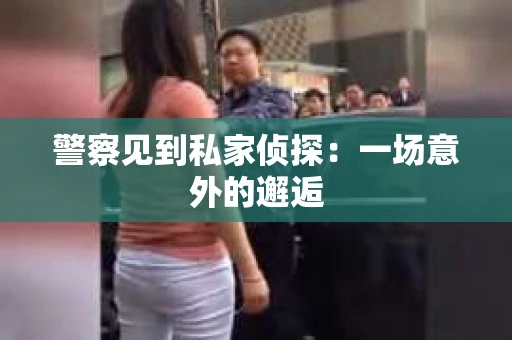 警察见到私家侦探：一场意外的邂逅