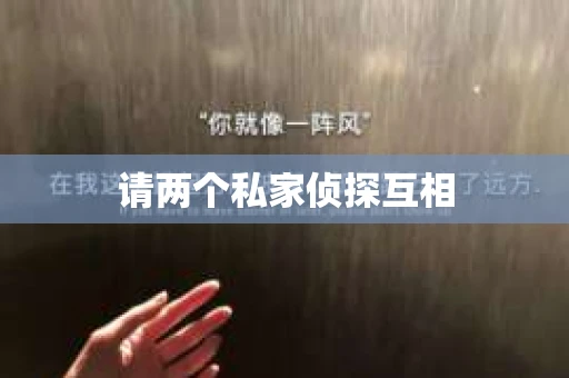 请两个私家侦探互相