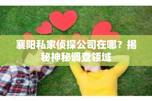 襄阳私家侦探公司在哪？揭秘神秘调查领域