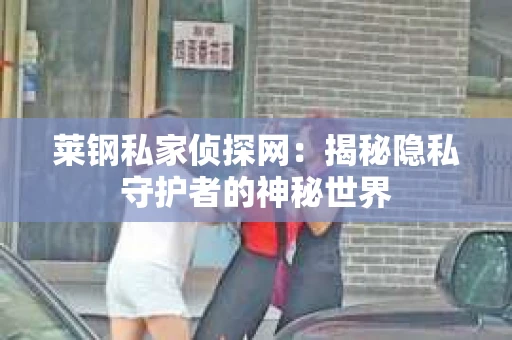 莱钢私家侦探网：揭秘隐私守护者的神秘世界