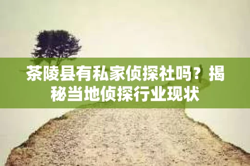 茶陵县有私家侦探社吗？揭秘当地侦探行业现状