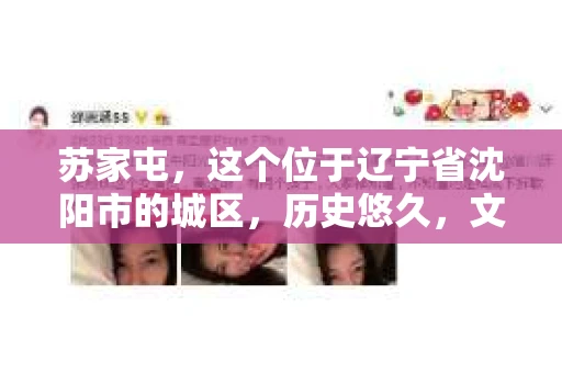 苏家屯，这个位于辽宁省沈阳市的城区，历史悠久，文化底蕴深厚。近年来，随着社会的发展，人们对于私家侦探的需求也逐渐增加。那么，苏家屯有私家侦探吗？今天，我们就来聊聊这个话题。