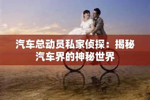 汽车总动员私家侦探：揭秘汽车界的神秘世界