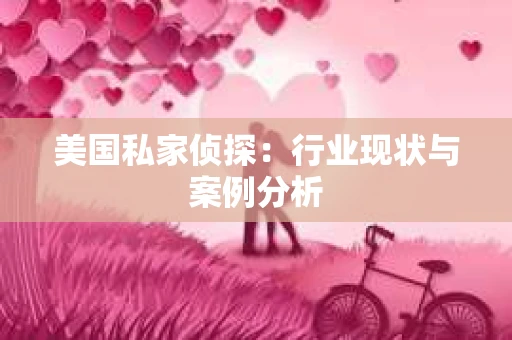 美国私家侦探：行业现状与案例分析