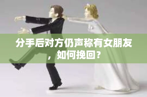 分手后对方仍声称有女朋友，如何挽回？