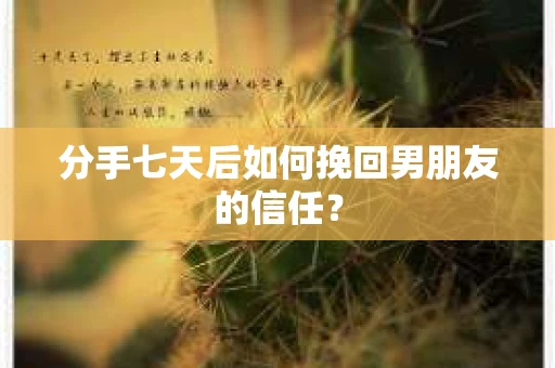 分手七天后如何挽回男朋友的信任？