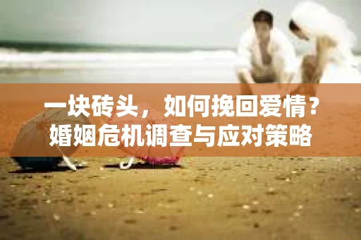 一块砖头，如何挽回爱情？婚姻危机调查与应对策略