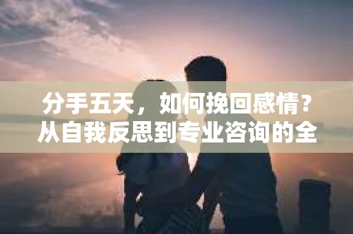 分手五天，如何挽回感情？从自我反思到专业咨询的全面解决方案