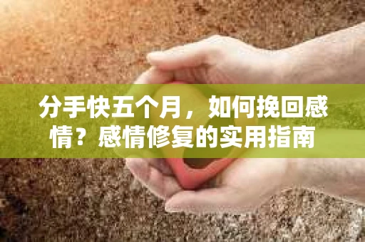 分手快五个月，如何挽回感情？感情修复的实用指南