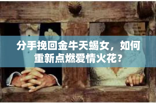分手挽回金牛天蝎女，如何重新点燃爱情火花？