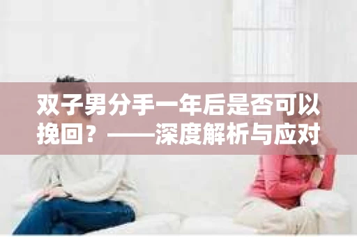 双子男分手一年后是否可以挽回？——深度解析与应对策略